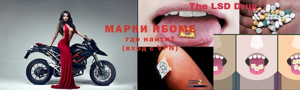 индика Пересвет
