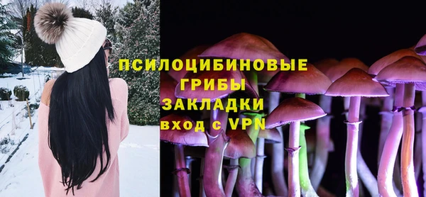 дмт Дмитров