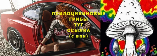 ГАЛЛЮЦИНОГЕННЫЕ ГРИБЫ Переславль-Залесский