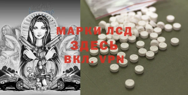 индика Пересвет