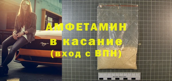 индика Пересвет