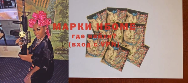 индика Пересвет