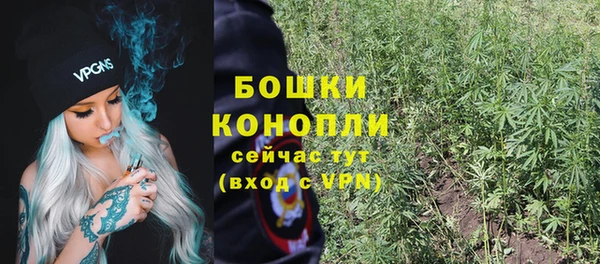 индика Пересвет