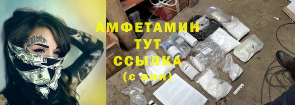 дмт Дмитров