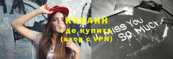 дмт Дмитров
