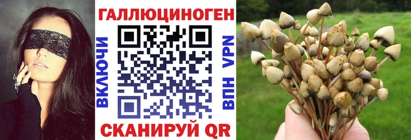 что такое   Приозерск  Псилоцибиновые грибы ЛСД 